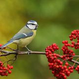 Leserfoto des Tages - Oktober 2009 - Bild 10