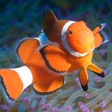 Leserfoto des Tages - Oktober 2009 - Bild 12