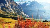 Leserfoto des Tages - Oktober 2009 - Bild 13