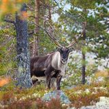 Leserfoto des Tages - Oktober 2009 - Bild 14