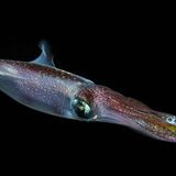 Leserfoto des Tages - Oktober 2009 - Bild 16