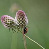 Leserfoto des Tages - Oktober 2009 - Bild 20