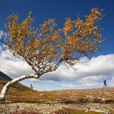 Leserfoto des Tages - Oktober 2009 - Bild 21