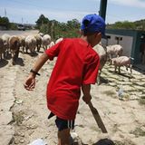 Foto-Show: Leben ohne Mief und Müll - Bild 10