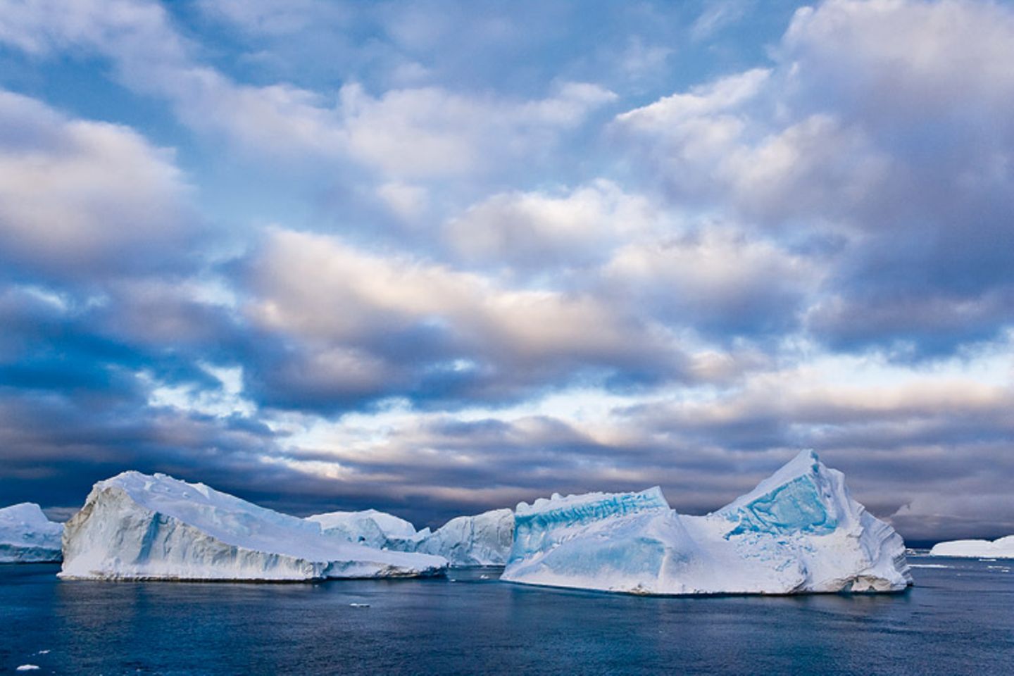 Fotogalerie: Fotogalerie: Arktis und Antarktis - Bild 3