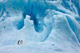 Fotogalerie: Fotogalerie: Arktis und Antarktis - Bild 5