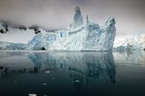 Fotogalerie: Fotogalerie: Arktis und Antarktis - Bild 7
