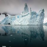 Fotogalerie: Fotogalerie: Arktis und Antarktis - Bild 7