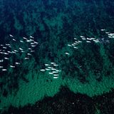 Fotogalerie: Fotogalerie: Arktis und Antarktis - Bild 13