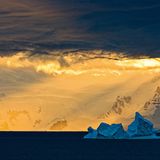 Fotogalerie: Fotogalerie: Arktis und Antarktis - Bild 15