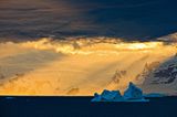 Fotogalerie: Fotogalerie: Arktis und Antarktis - Bild 15