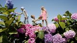 Fotoshow: Jan von Holleben schickt Kinder auf die Reise ins Überall - Bild 5