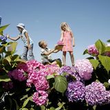 Fotoshow: Jan von Holleben schickt Kinder auf die Reise ins Überall - Bild 5