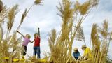 Fotoshow: Jan von Holleben schickt Kinder auf die Reise ins Überall - Bild 9