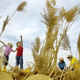 Fotoshow: Jan von Holleben schickt Kinder auf die Reise ins Überall - Bild 9