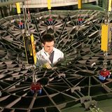 Fotogalerie: Preis für Wissenschafts-Fotografie - Bild 6