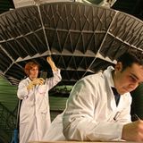 Fotogalerie: Preis für Wissenschafts-Fotografie - Bild 7