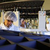 Fotogalerie: Preis für Wissenschafts-Fotografie - Bild 8