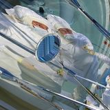 Fotogalerie: Preis für Wissenschafts-Fotografie - Bild 11