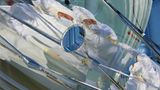 Fotogalerie: Preis für Wissenschafts-Fotografie - Bild 11