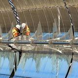 Fotogalerie: Preis für Wissenschafts-Fotografie - Bild 14