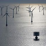 Fotogalerie: Preis für Wissenschafts-Fotografie - Bild 15