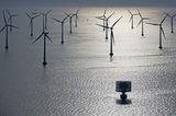Fotogalerie: Preis für Wissenschafts-Fotografie - Bild 15