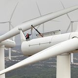 Fotogalerie: Preis für Wissenschafts-Fotografie - Bild 16