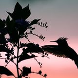 Leserfoto des Tages - November 2009 - Bild 2