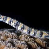 Leserfoto des Tages - November 2009 - Bild 3