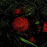 Leserfoto des Tages - November 2009 - Bild 4