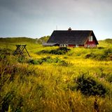 Leserfoto des Tages - November 2009 - Bild 6