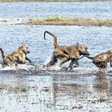 Leserfoto des Tages - November 2009 - Bild 7