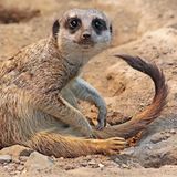 Leserfoto des Tages - November 2009 - Bild 8