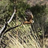 Leserfoto des Tages - November 2009 - Bild 11