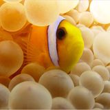 Leserfoto des Tages - November 2009 - Bild 13