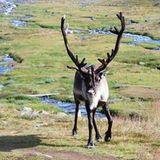 Leserfoto des Tages - November 2009 - Bild 16