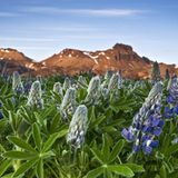 Leserfoto des Tages - November 2009 - Bild 17