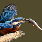 Leserfoto des Tages - November 2009 - Bild 18