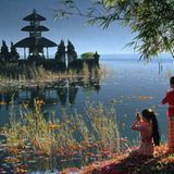 Leserfoto des Tages - November 2009 - Bild 21