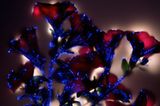 Fotogalerie: Leuchtende Pflanzen - Bild 5