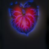 Flamingoblume (Anthurie)