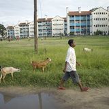 Fotoshow: Vom Straßenkind zum Klassenbesten - Bild 2