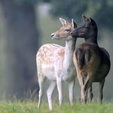 Leserfoto des Tages - Dezember 2009