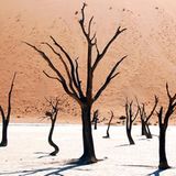 Leserfoto des Tages - Dezember 2009 - Bild 7