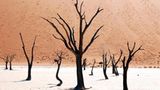 Leserfoto des Tages - Dezember 2009 - Bild 7