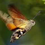 Leserfoto des Tages - Dezember 2009 - Bild 9