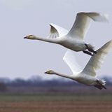 Leserfoto des Tages - Dezember 2009 - Bild 14