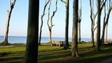 Leserfoto des Tages - Dezember 2009 - Bild 16