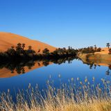 Leserfoto des Tages - Dezember 2009 - Bild 17